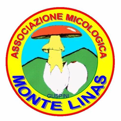 Associazione Micologica Monte Linas